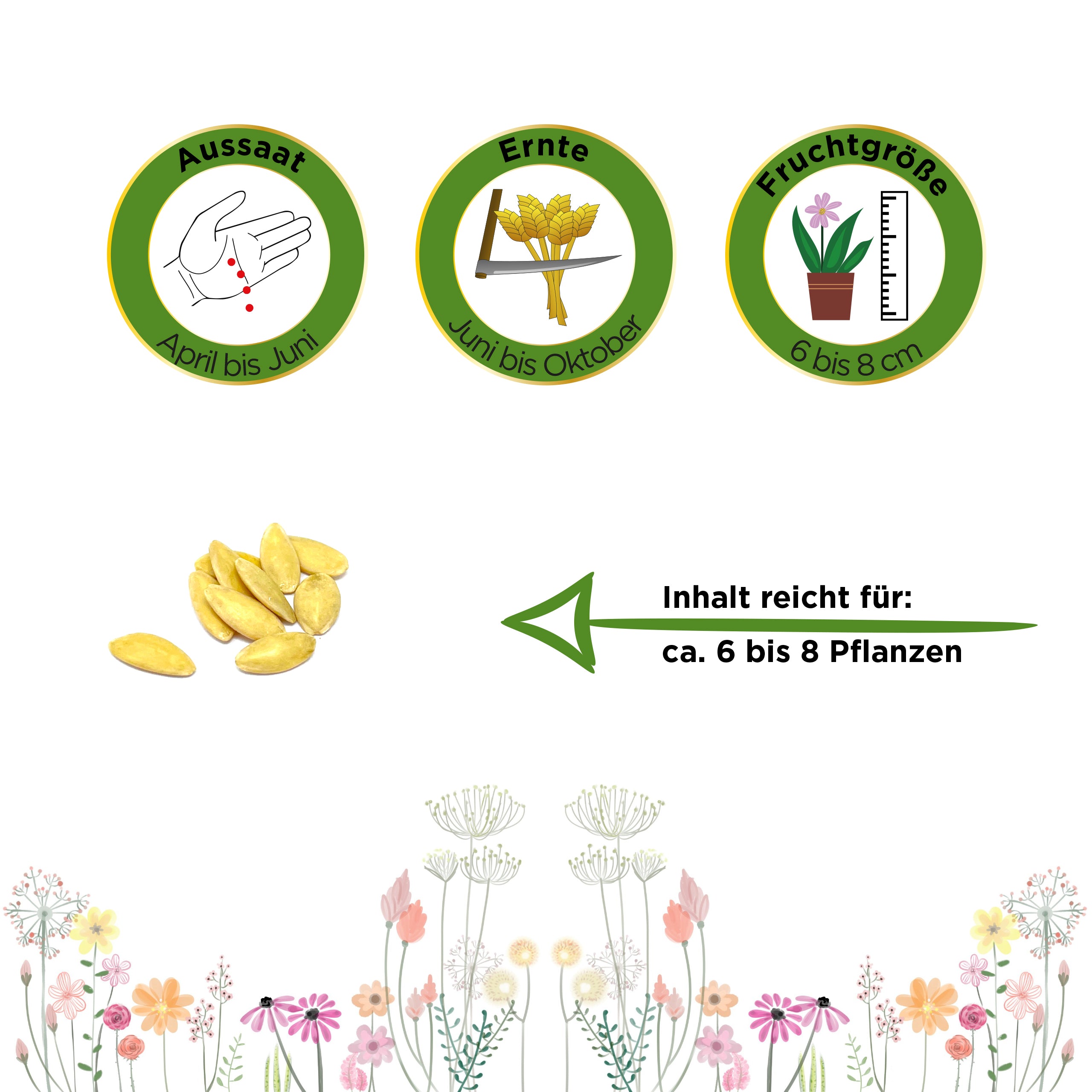 Zitronengurke Lemon