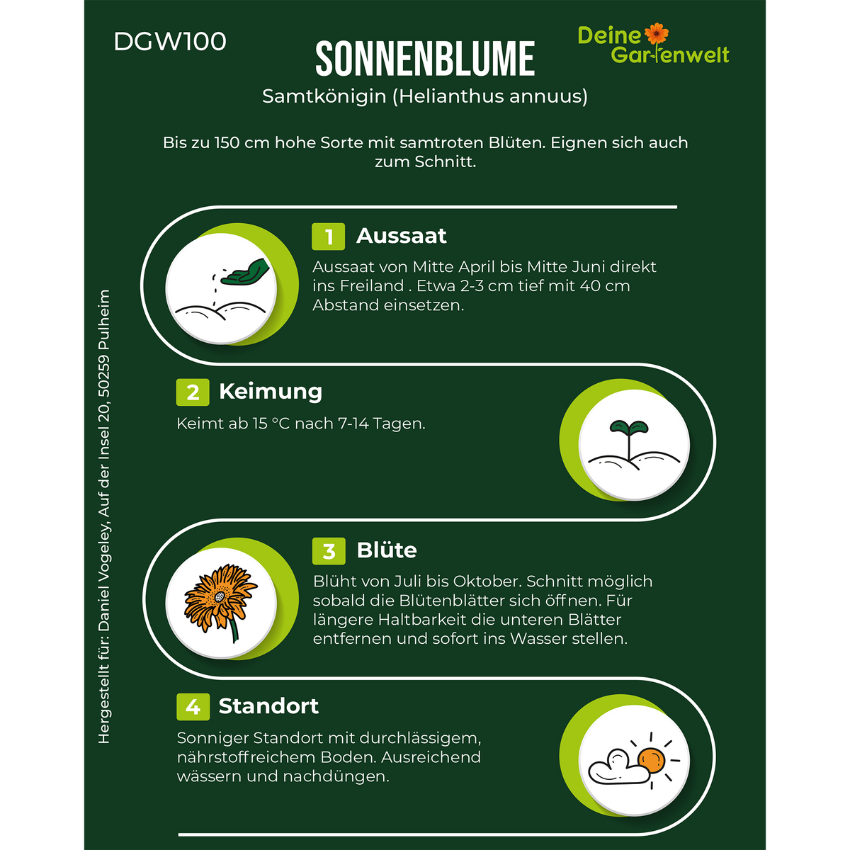 Sonnenblume Samtkönigin Saatgut