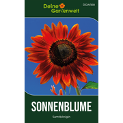 Sonnenblume Samtkönigin Saatgut