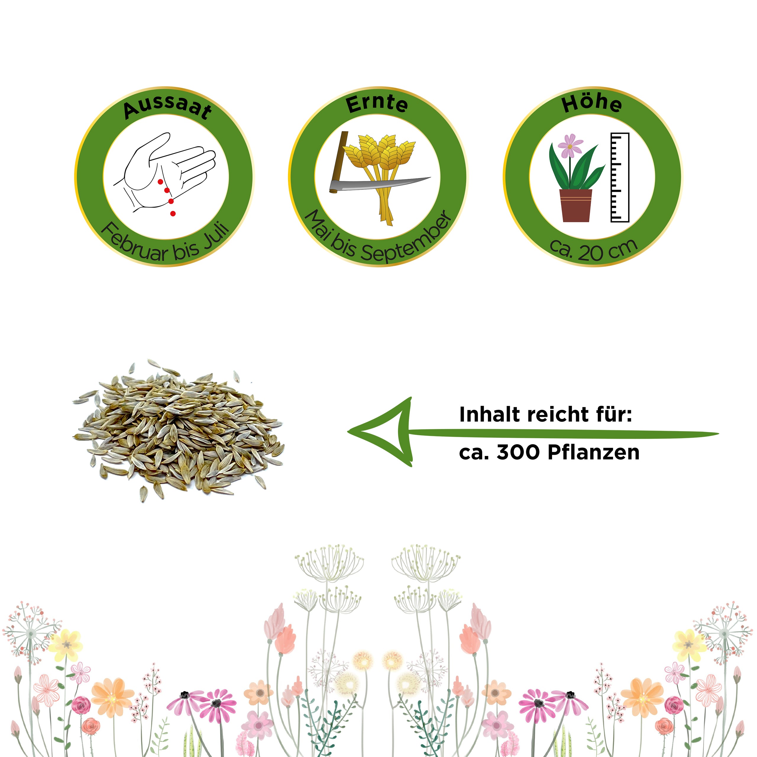 Kopfsalat Attractie/Attraktion