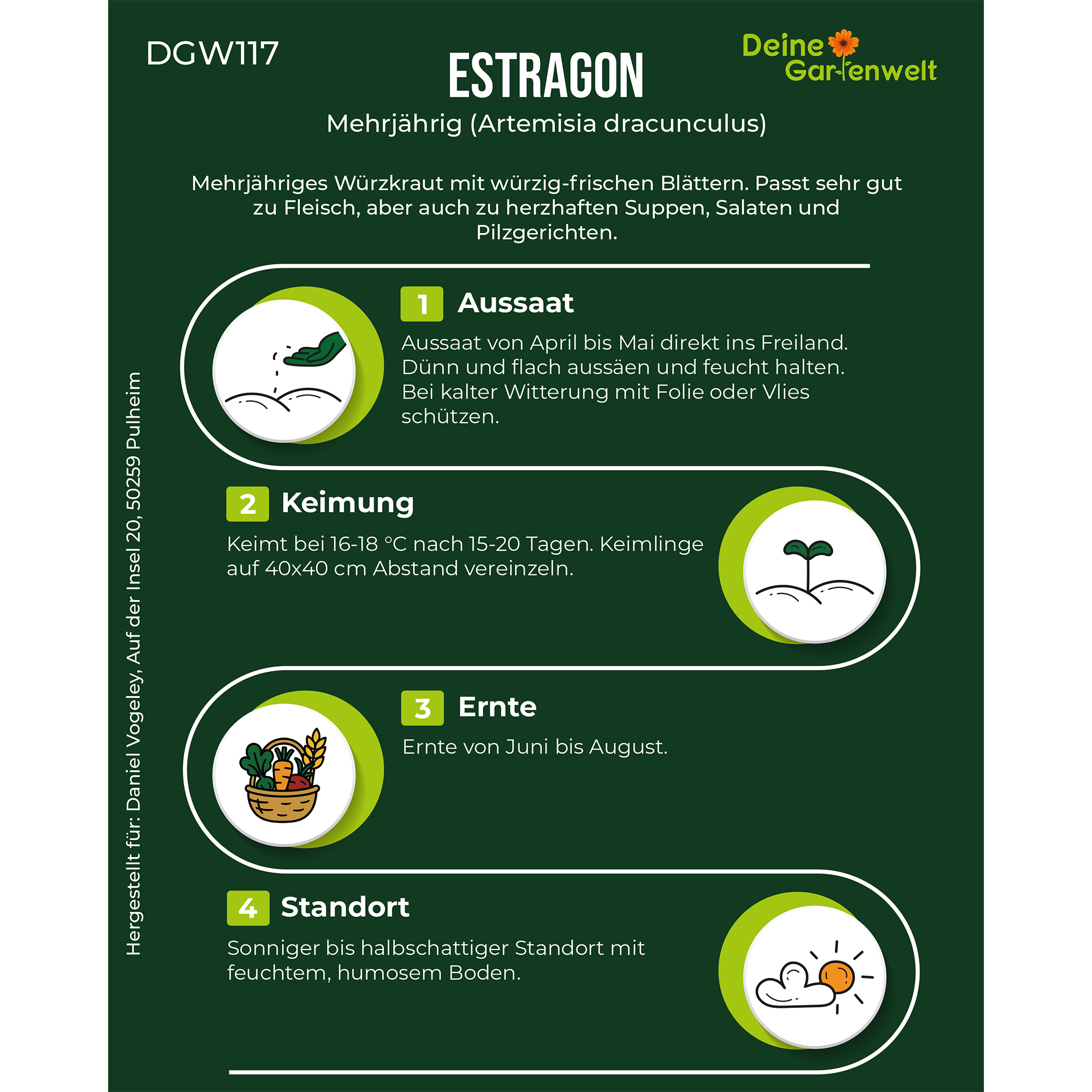 Estragon Mehrjährig