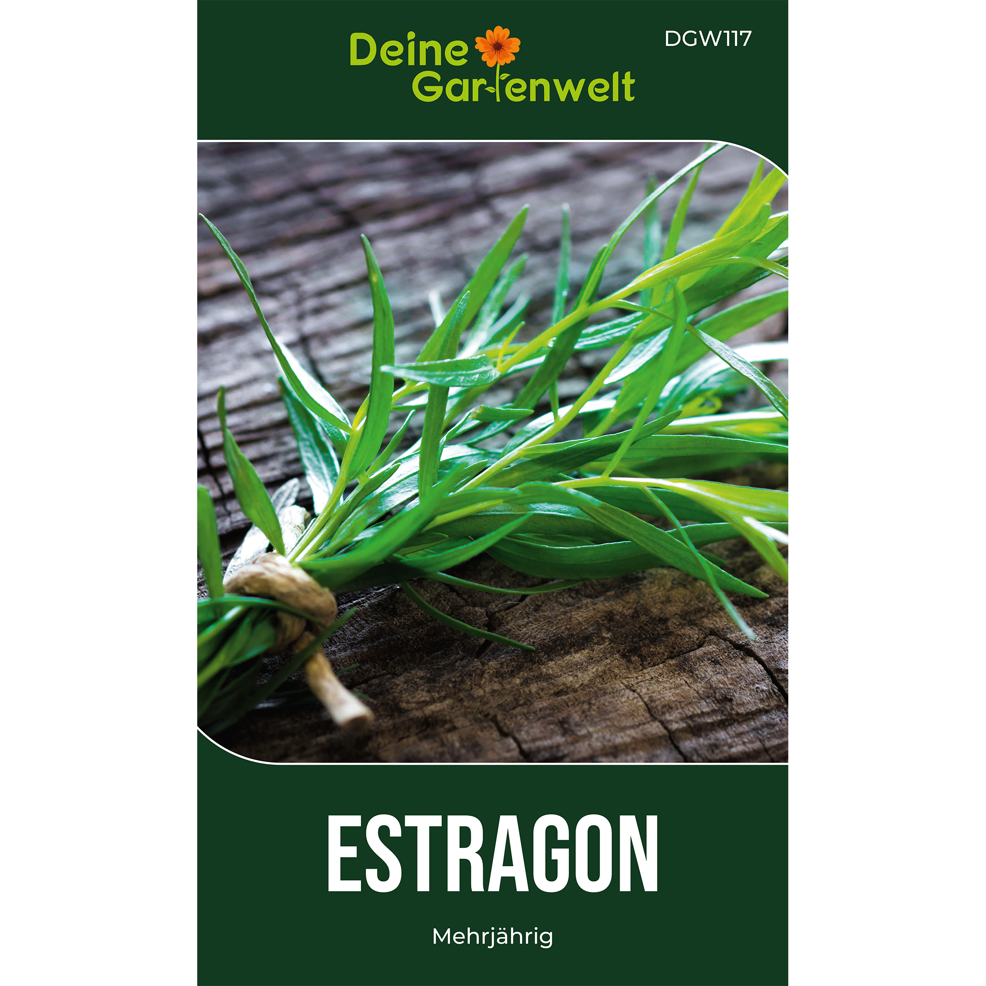 Estragon Mehrjährig