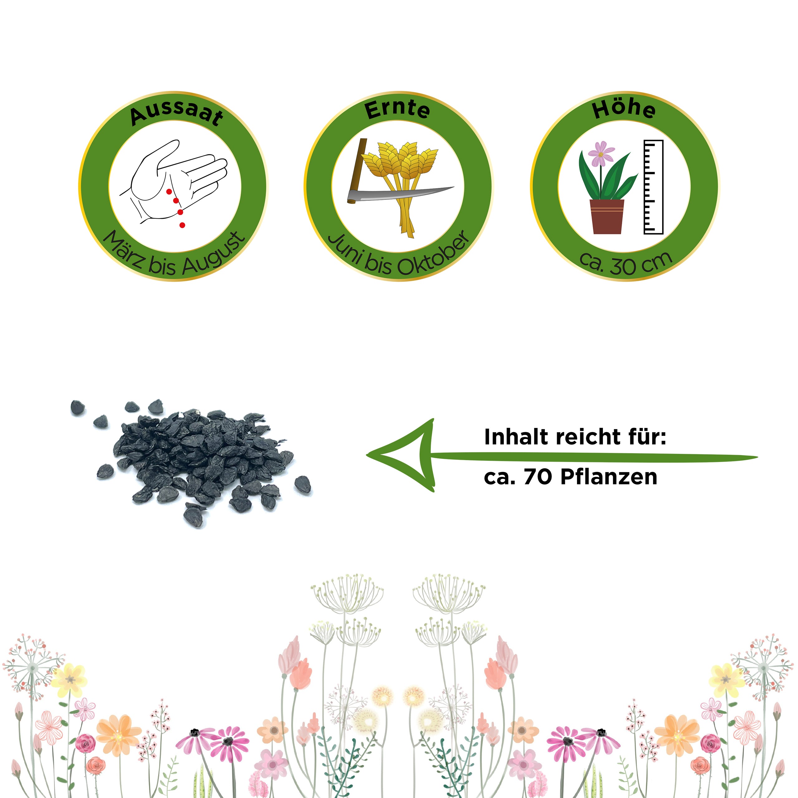 Schnittknoblauch Mehrjährig