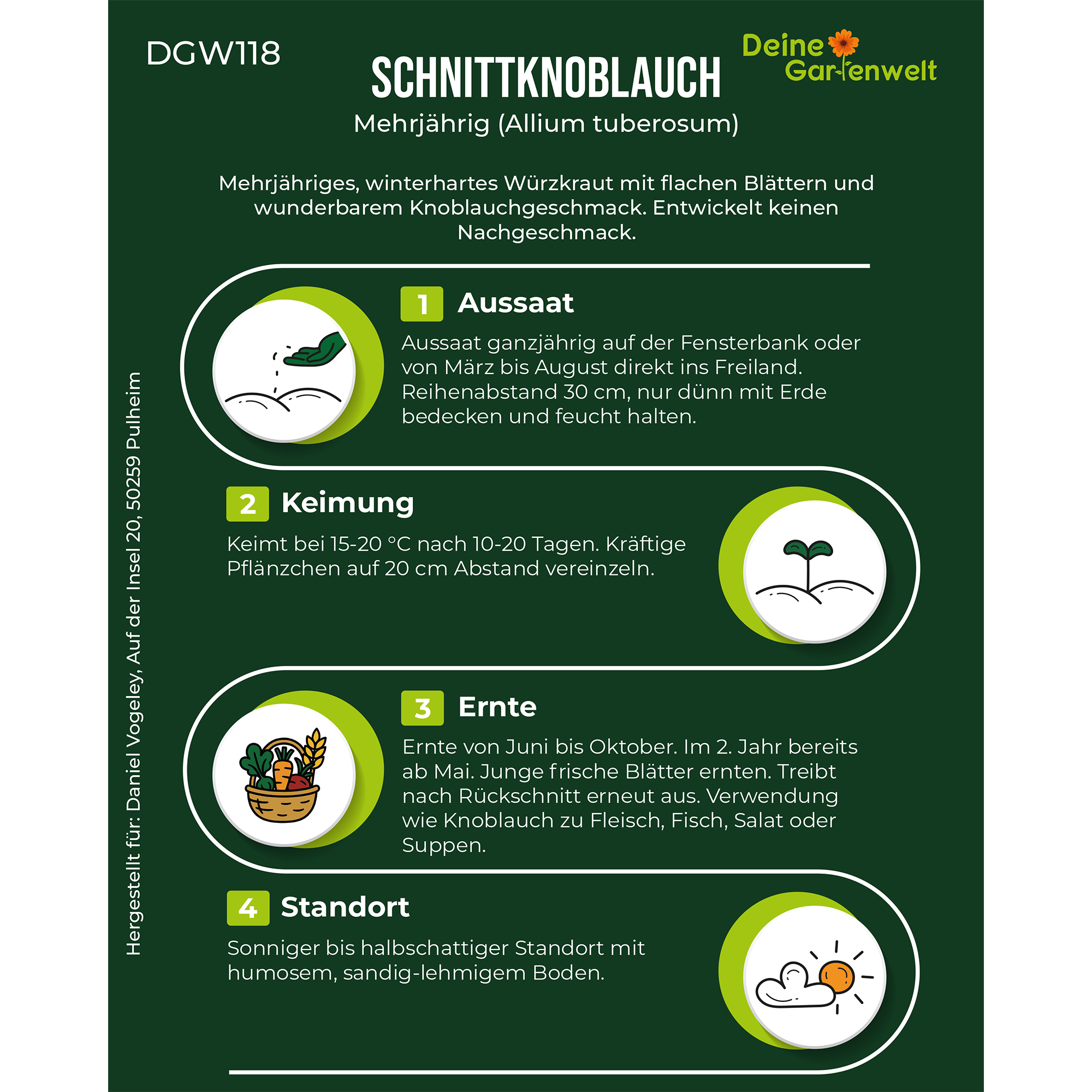 Schnittknoblauch Mehrjährig