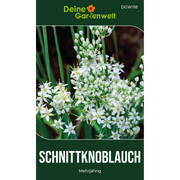 Schnittknoblauch Saatgut