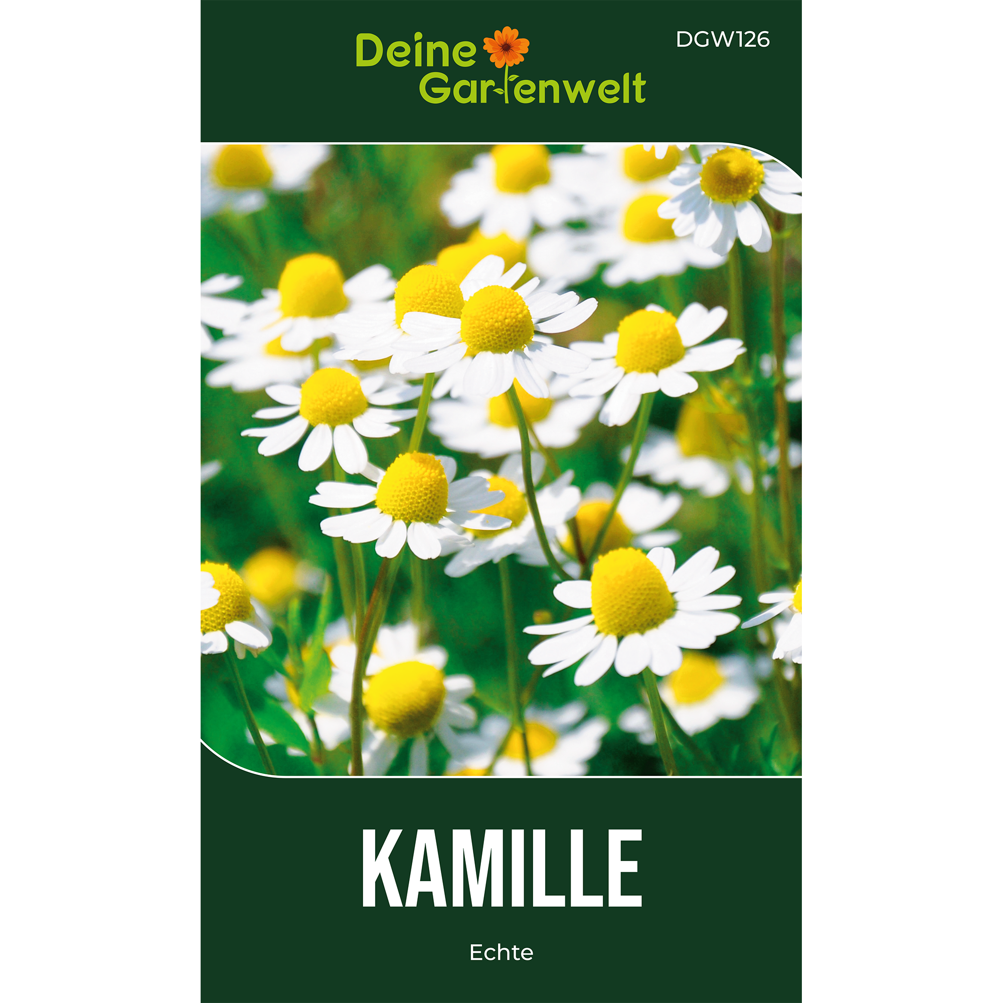 Kamille