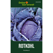 Rotkohl Roodkop 2