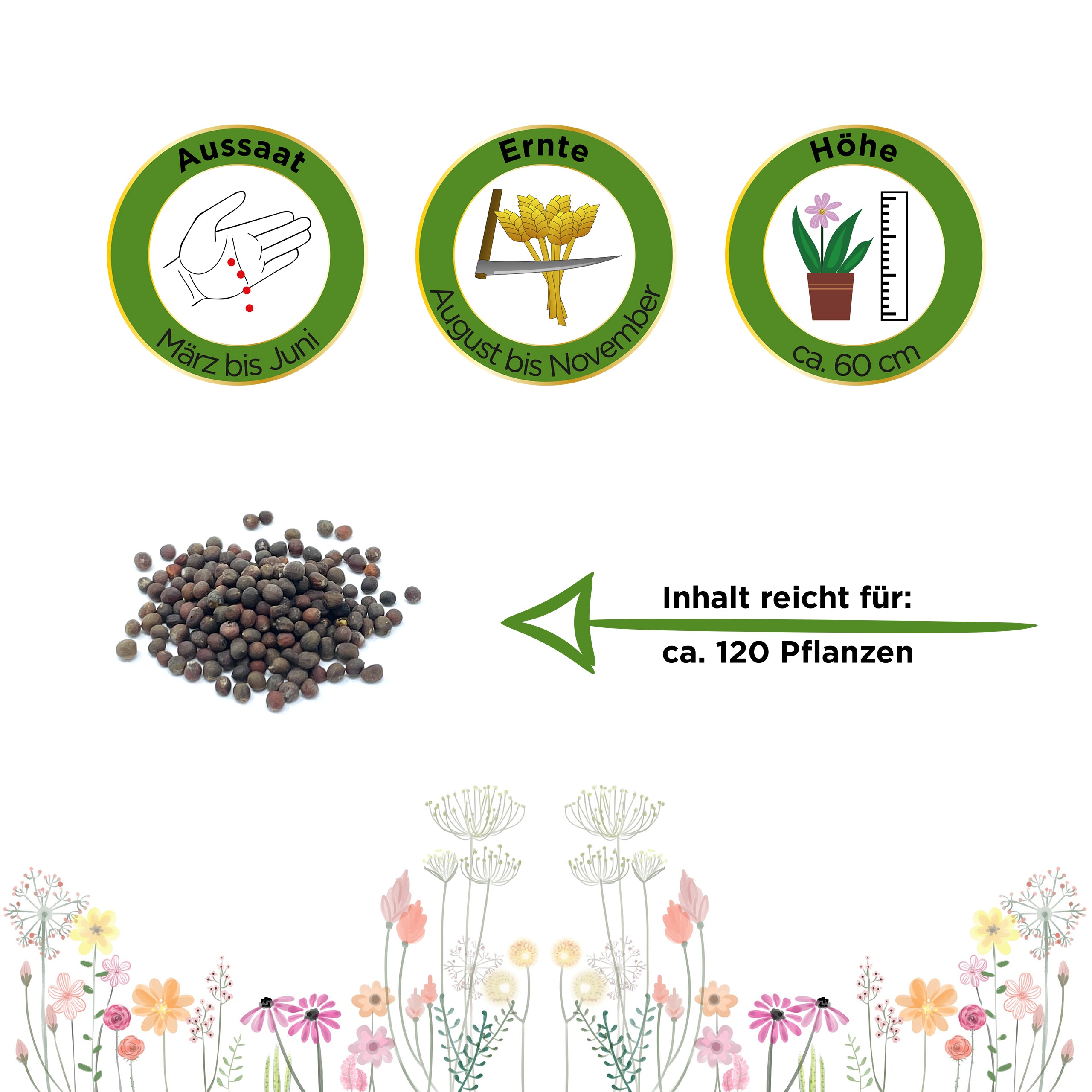 Palmkohl Nero di Toscana