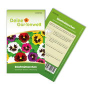 Stiefmütterchen Schweizer Riesen Mischung