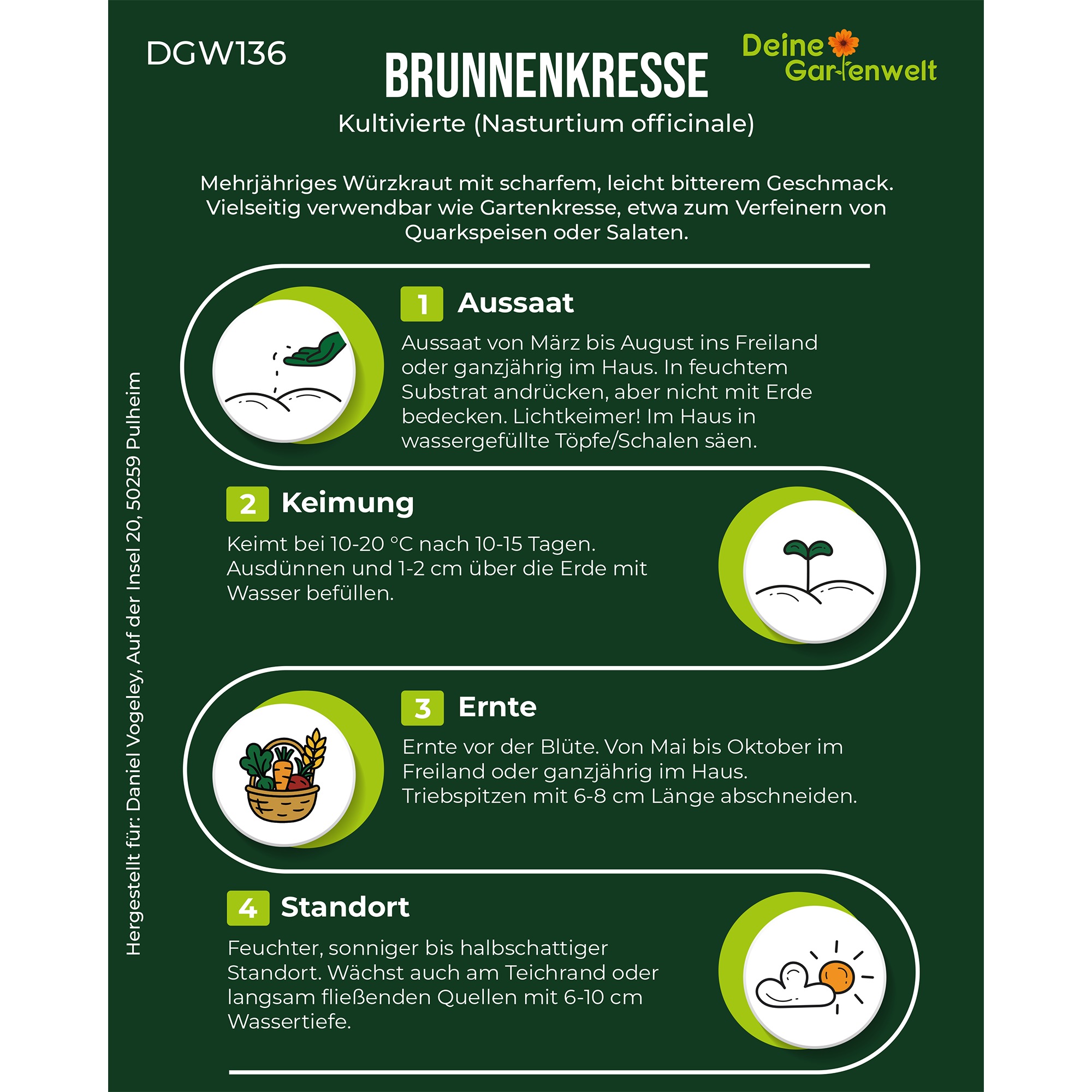 Brunnenkresse Kultivierte
