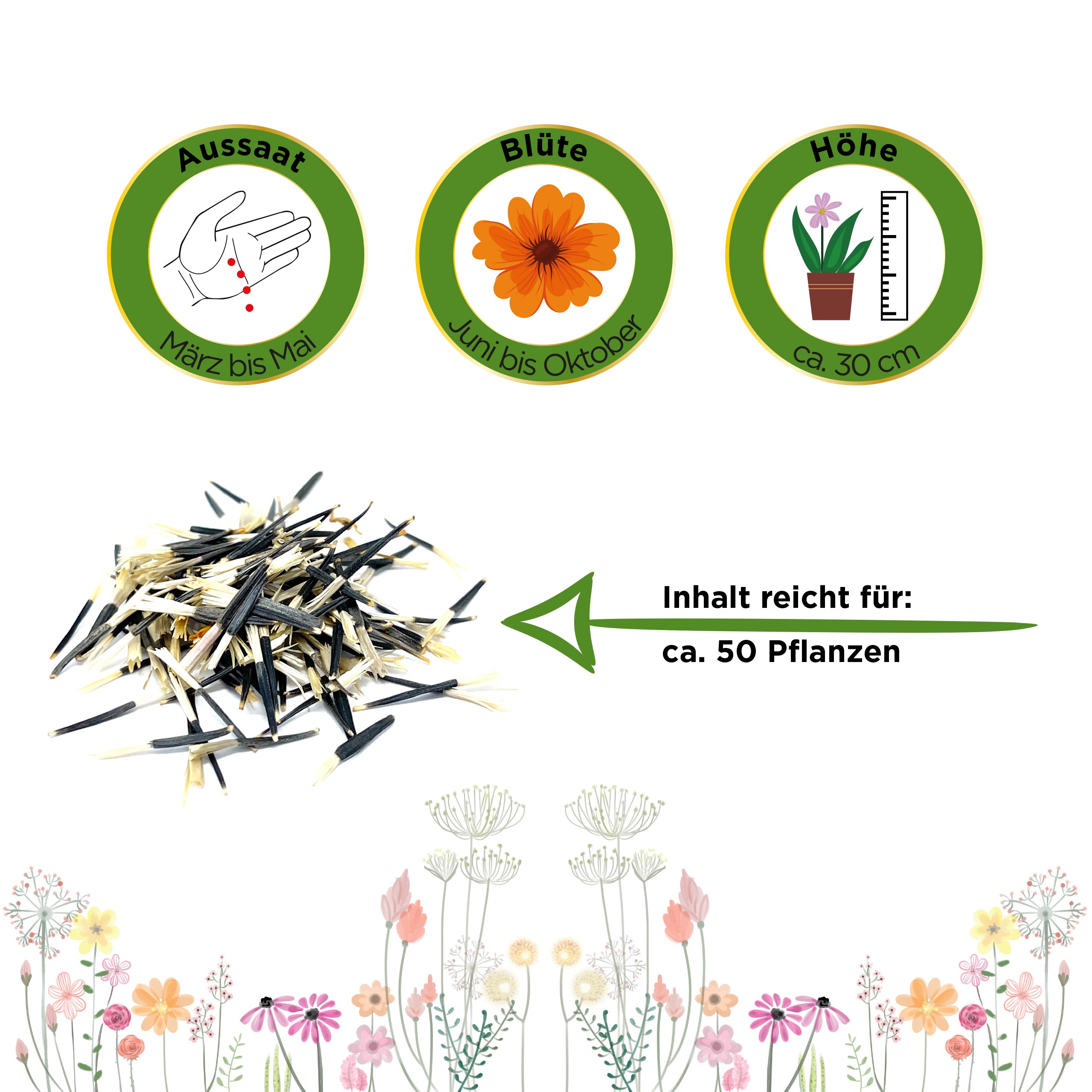 Studentenblume Tagetes Bonita Mischung