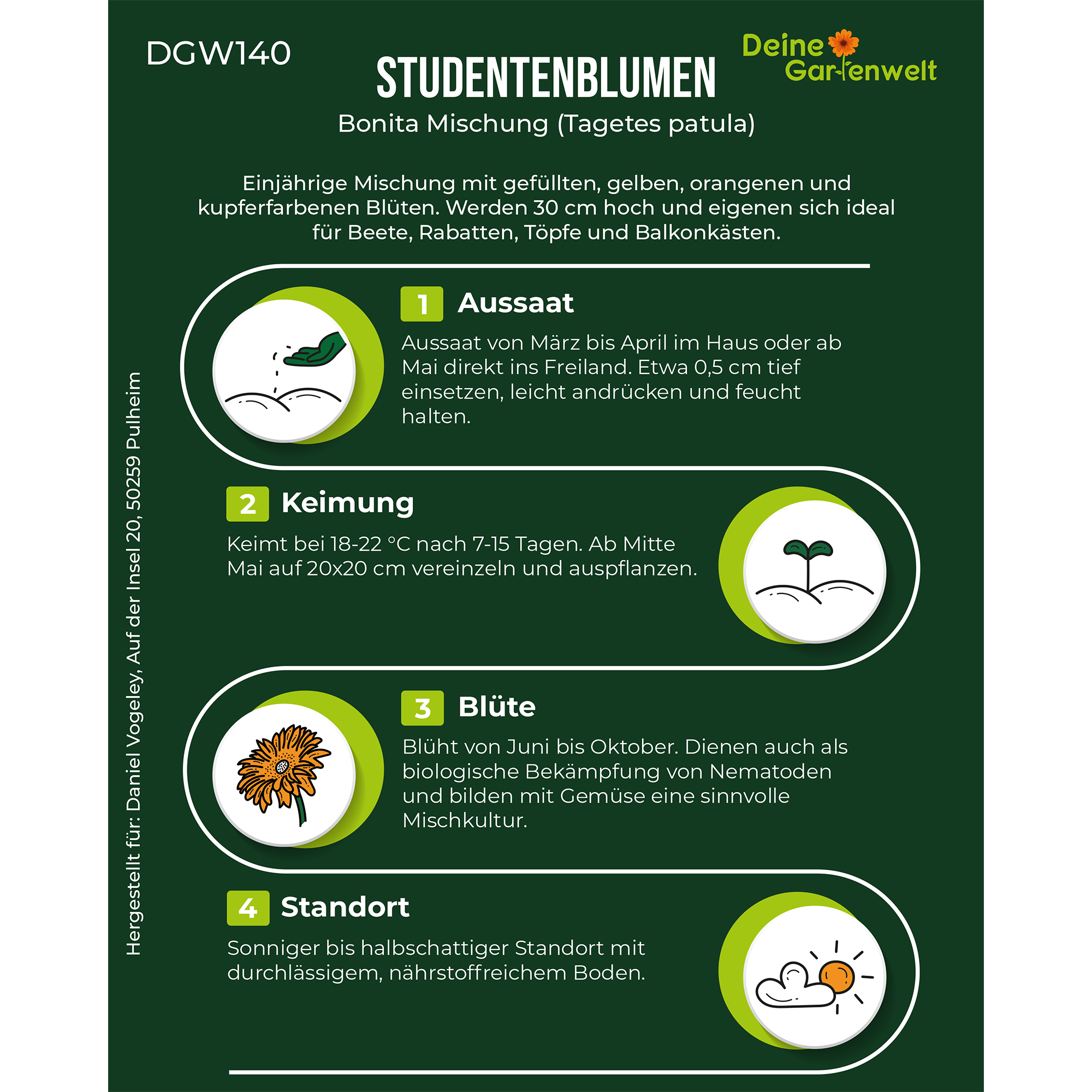 Studentenblume Tagetes Bonita Mischung