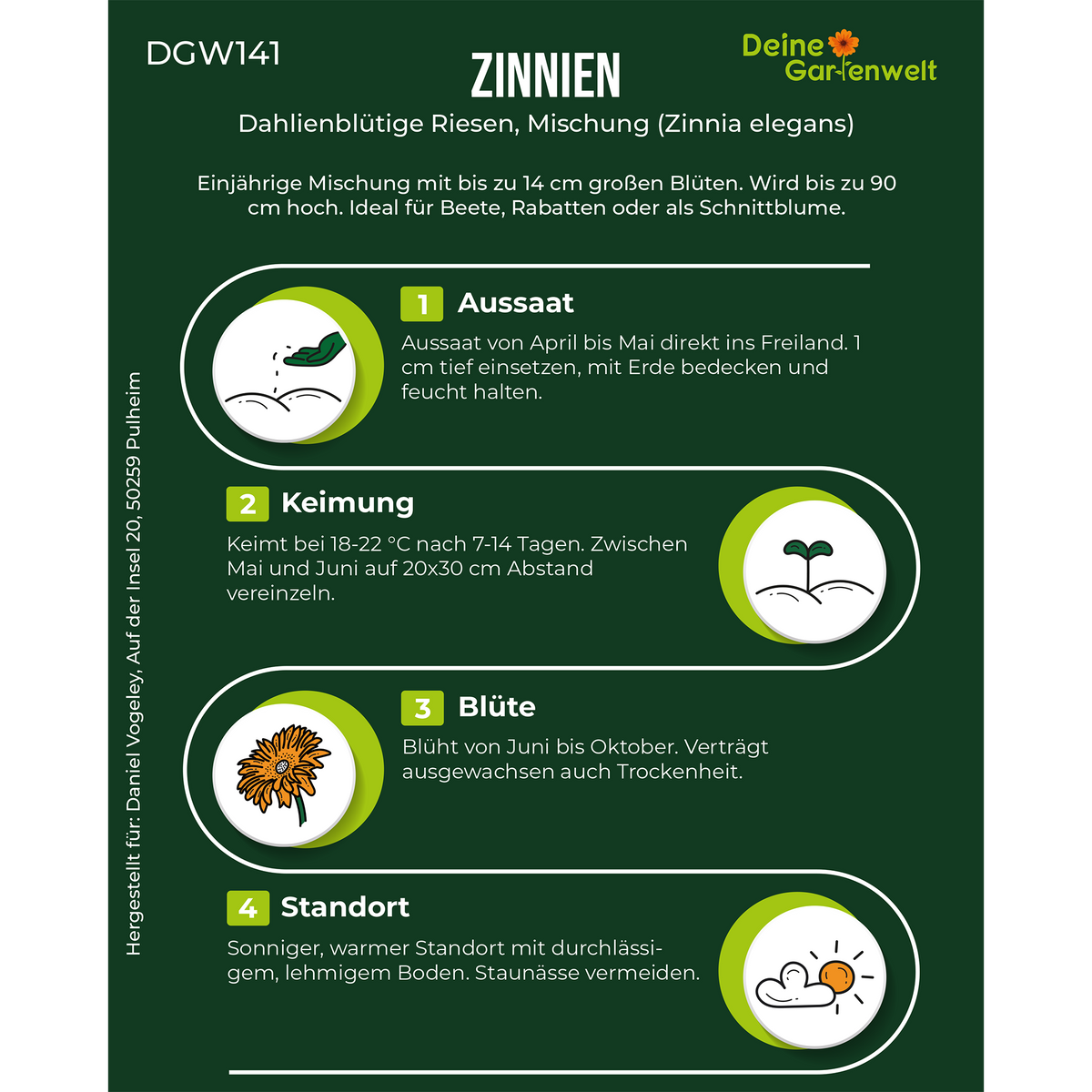 Zinnie Dahlienblütige Mischung Saatgut