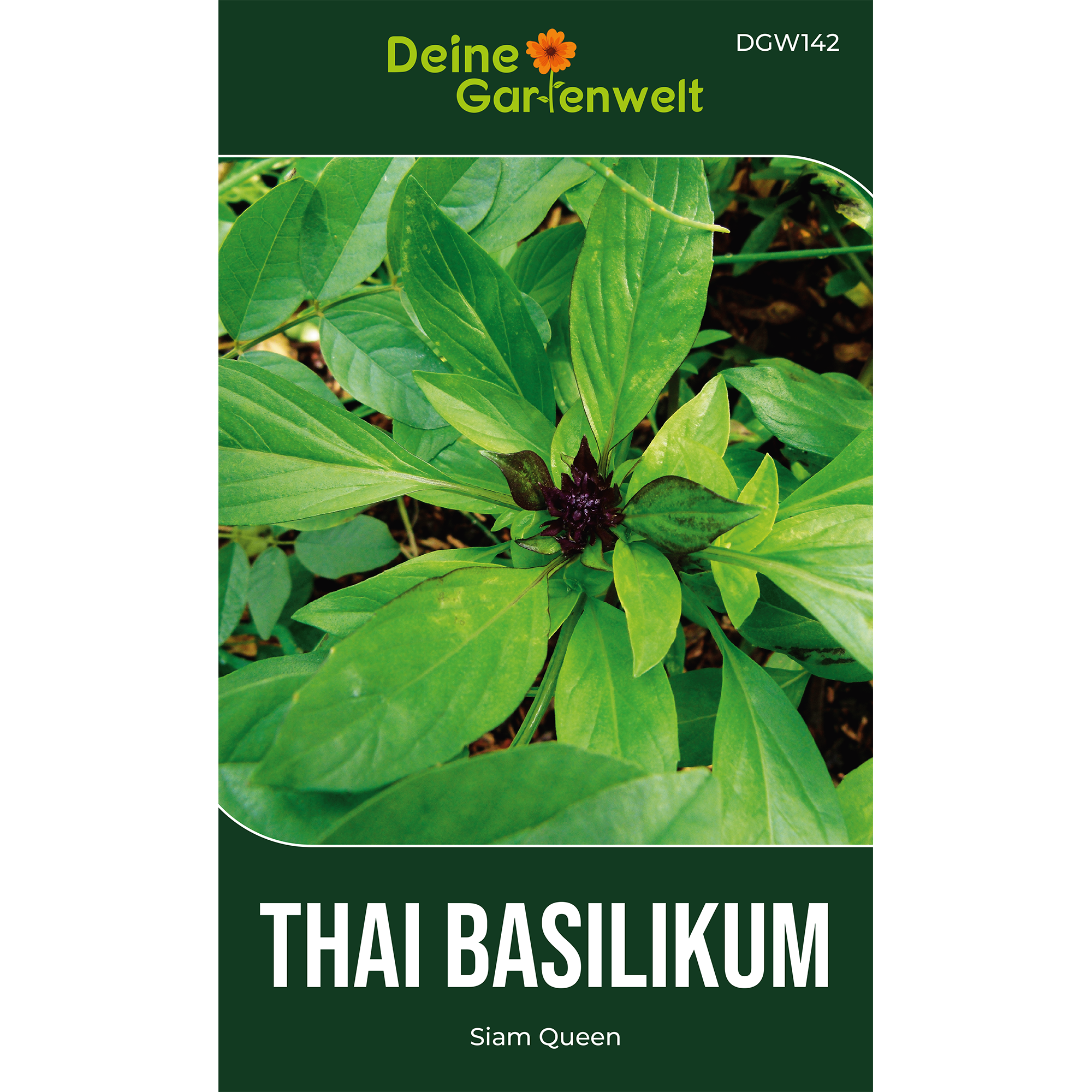 Basilikum Thai Siam Queen