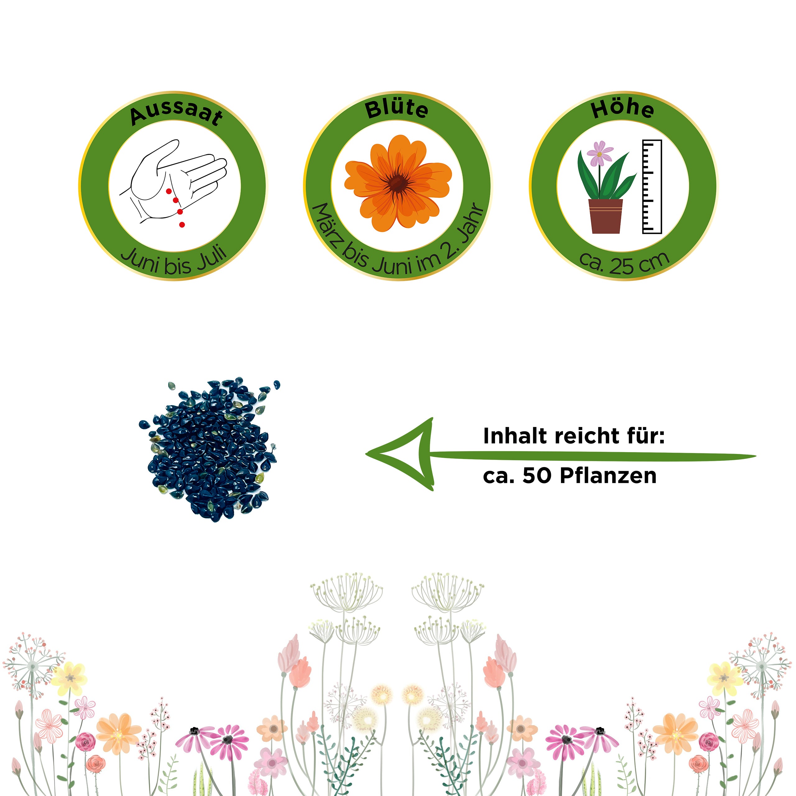 Vergissmeinnicht Indigo Compacta Blue
