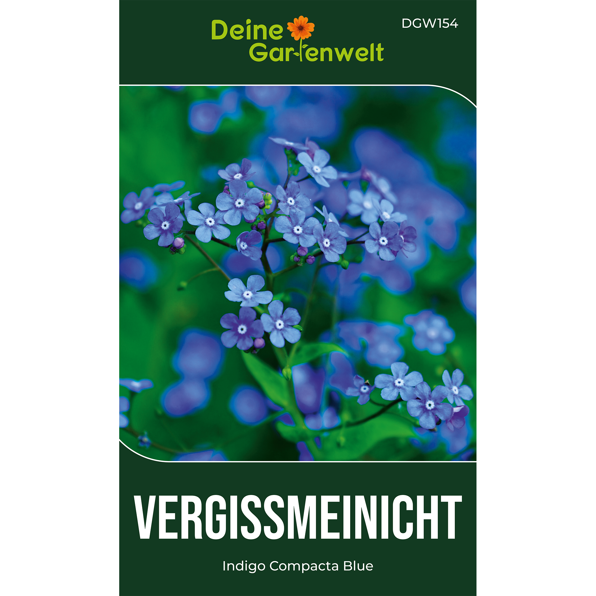 Vergissmeinnicht Indigo Compacta Blue
