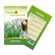 Zyperngras