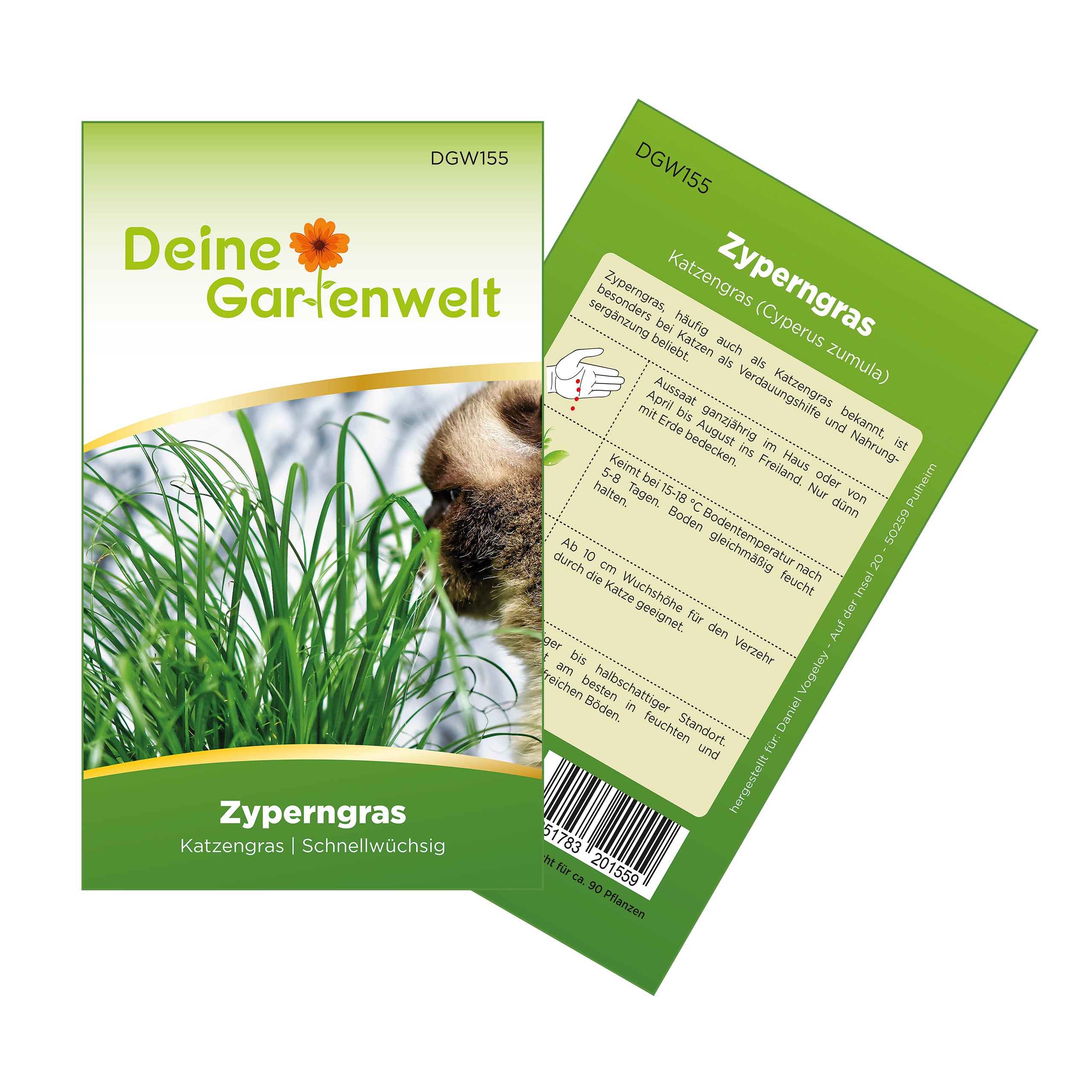 Zyperngras