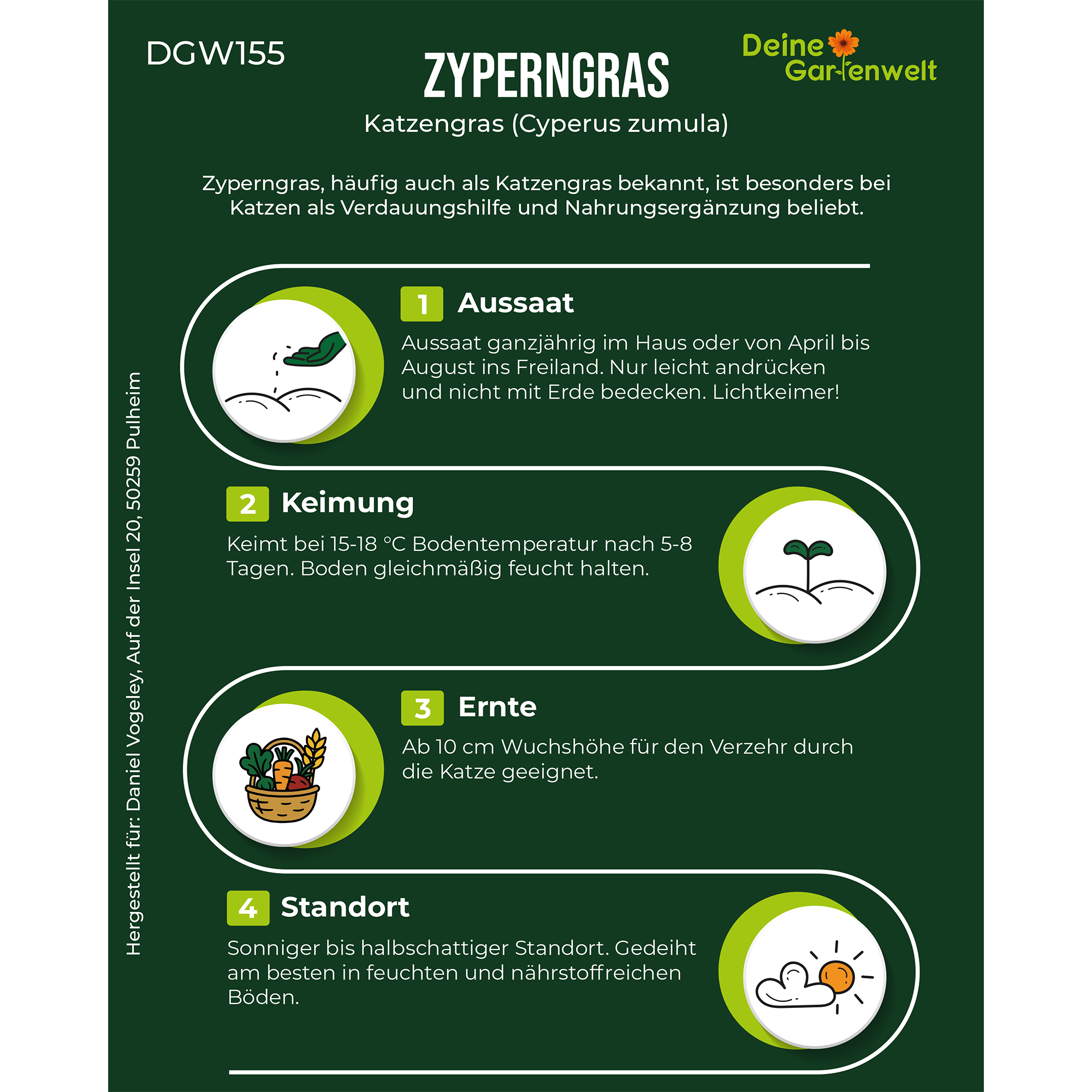 Zyperngras Saatgut