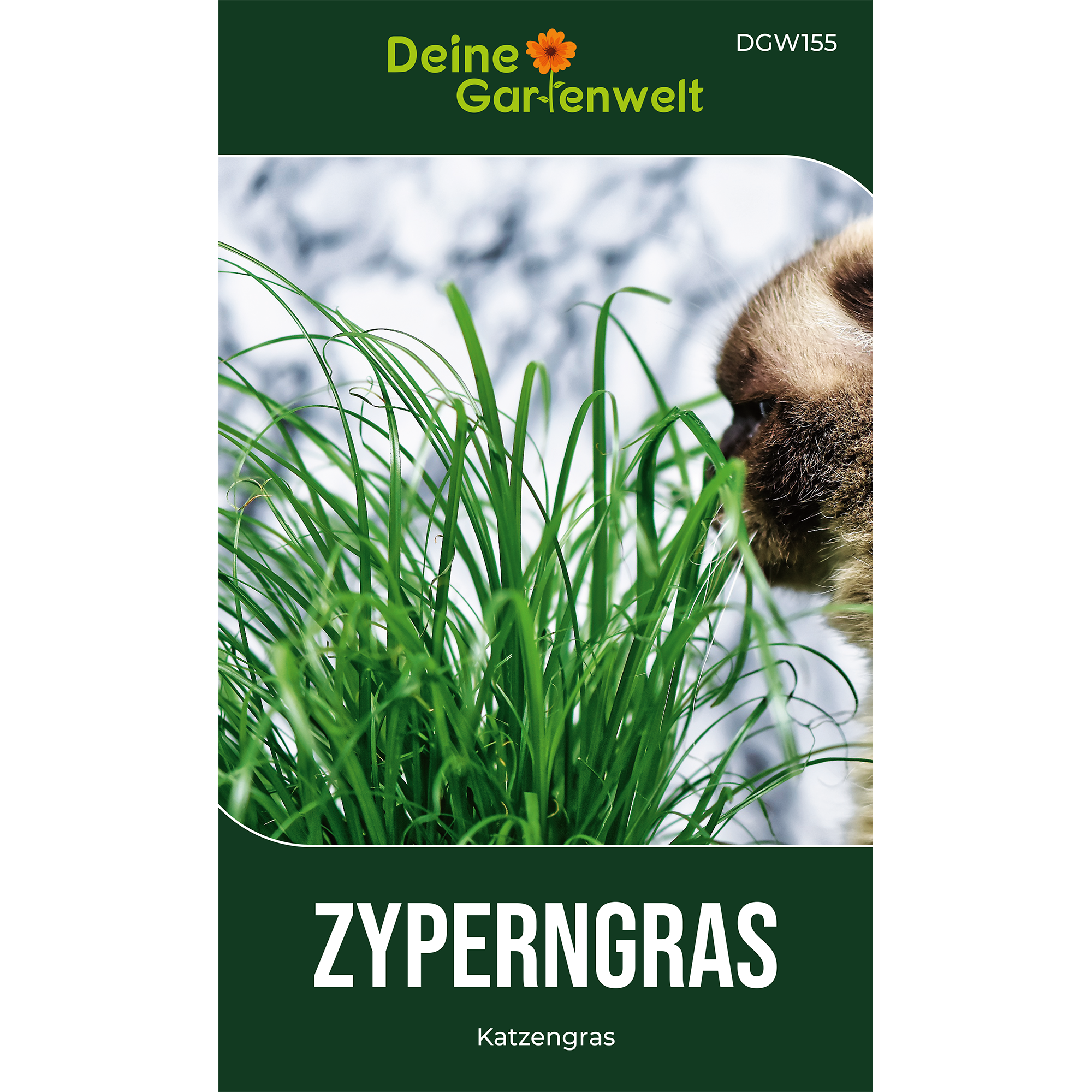 Zyperngras Saatgut