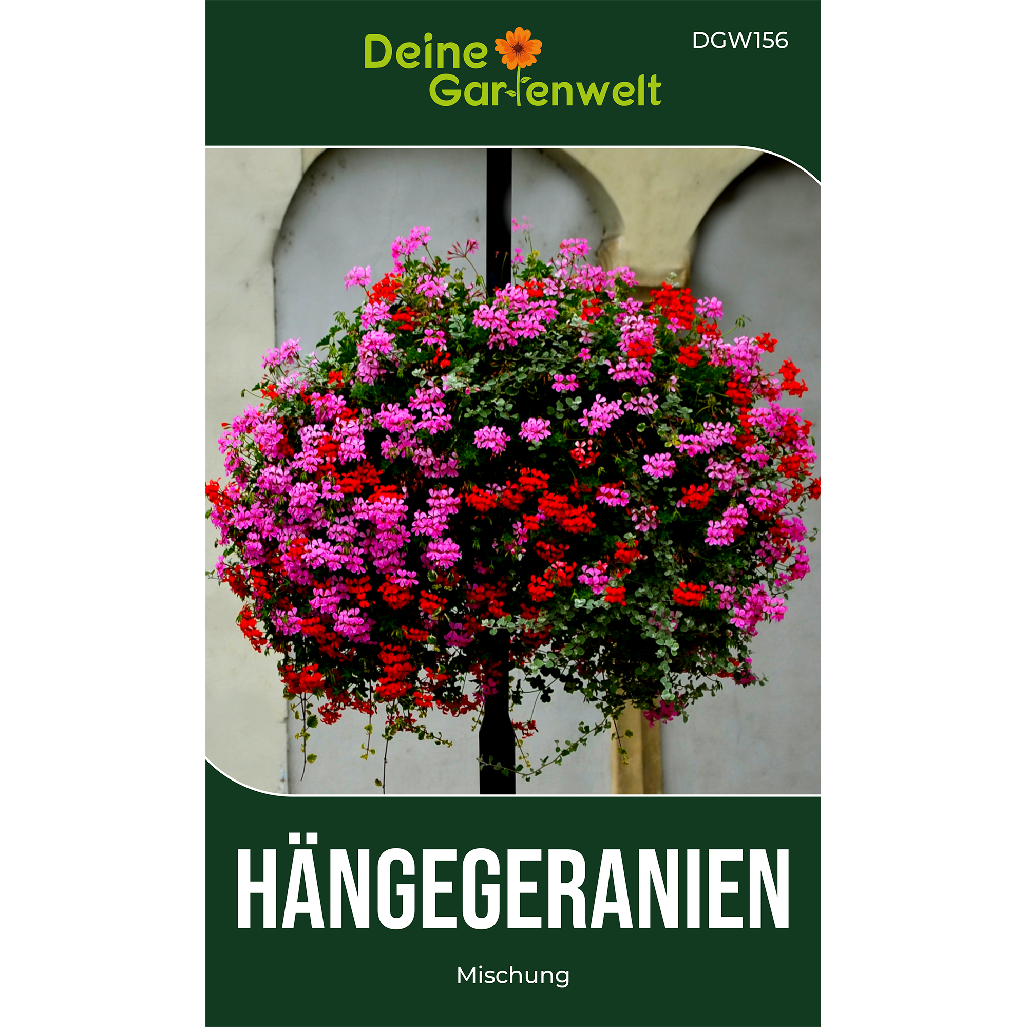 Hängegeranien Mischung