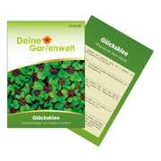 Glücksklee Zwiebeln