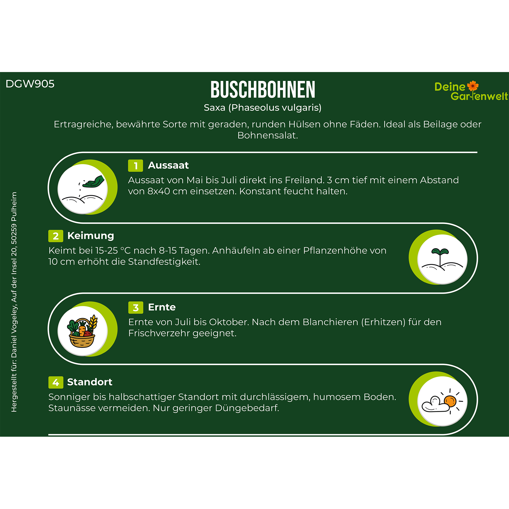 Buschbohne Saxa