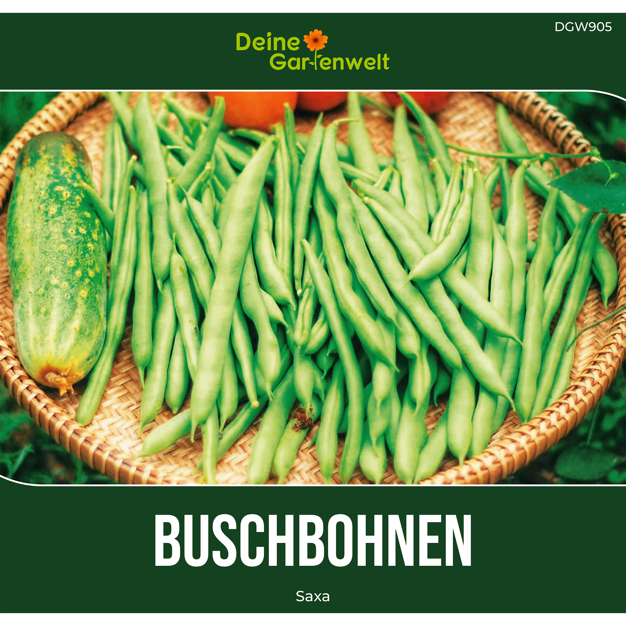 Buschbohne Saxa