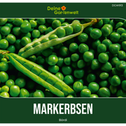 Markerbse Bördi Saatgut