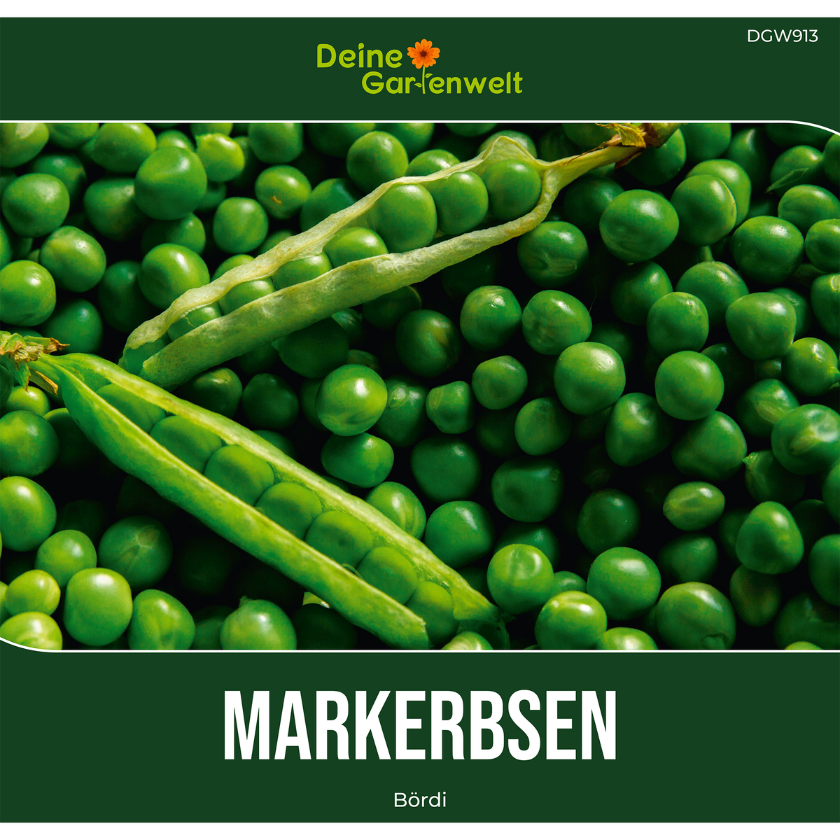 Markerbse Bördi Saatgut