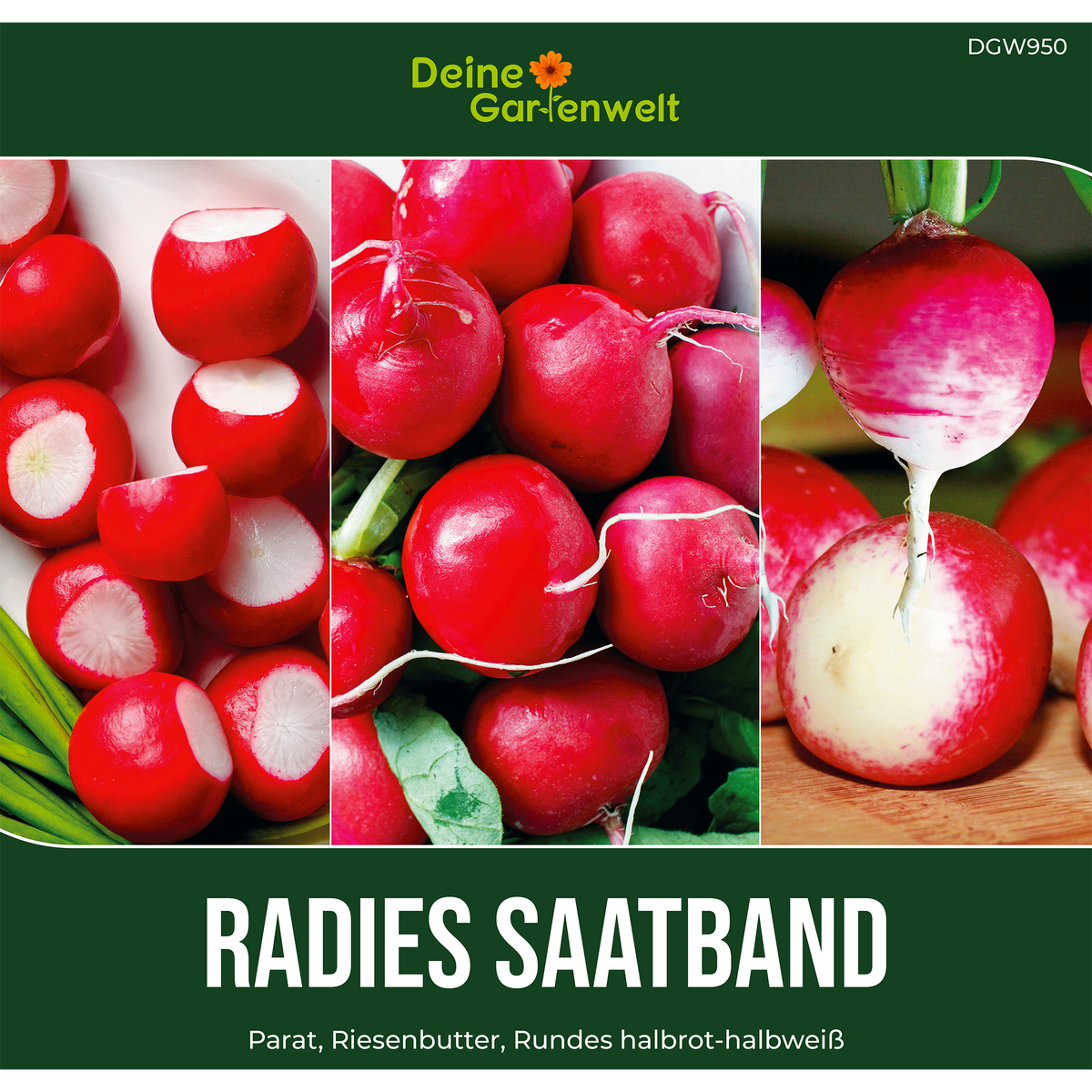 Radieschen 3 Sorten Saatband 5 m