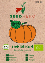 BIO Kürbis Uchiki Kuri