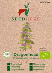 BIO Drachenkopf