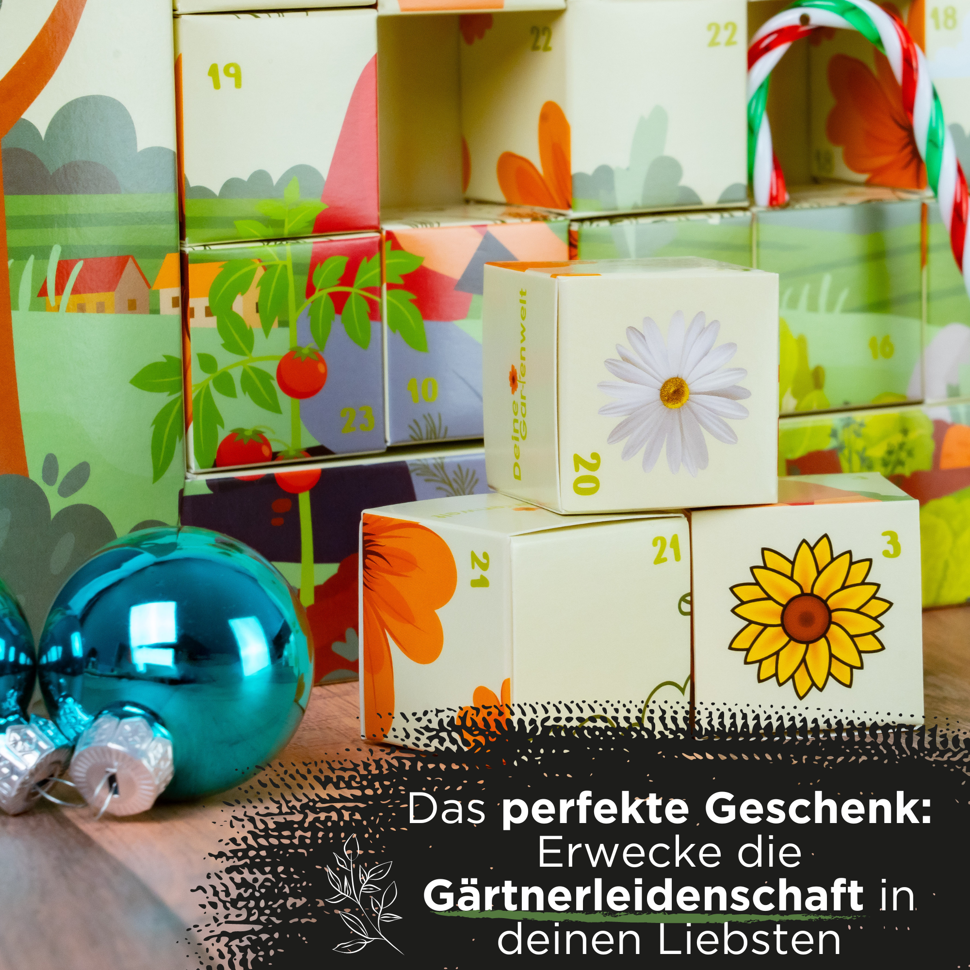 Dein Saatgut Adventskalender